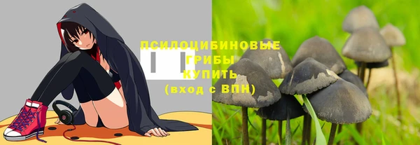 сатива Балабаново