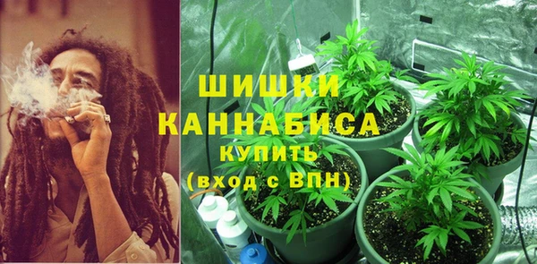 сатива Балабаново