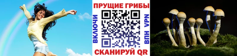 Галлюциногенные грибы MAGIC MUSHROOMS  это официальный сайт  Давлеканово  хочу  